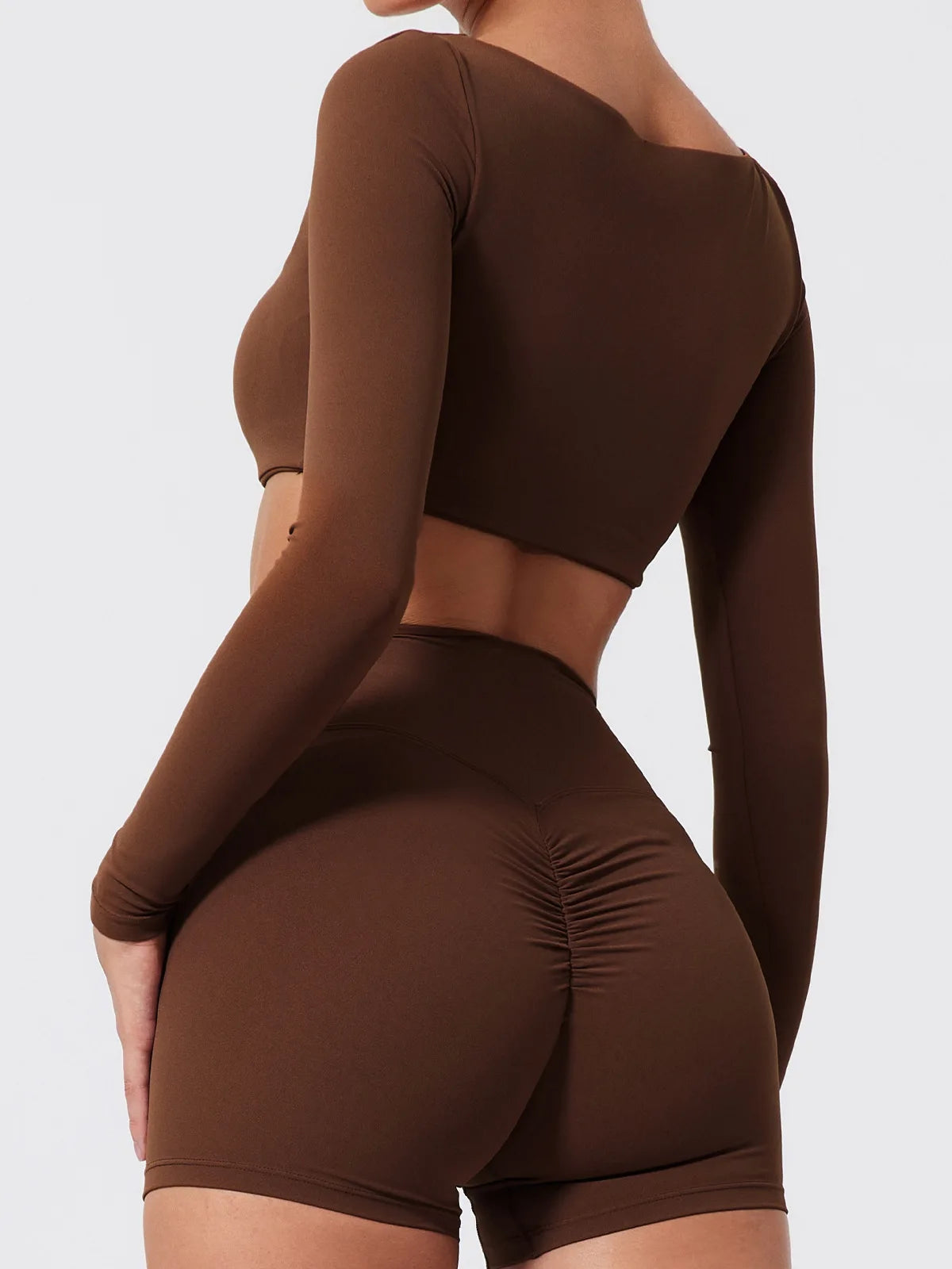 Seamless Long Sleeve Yoga Set